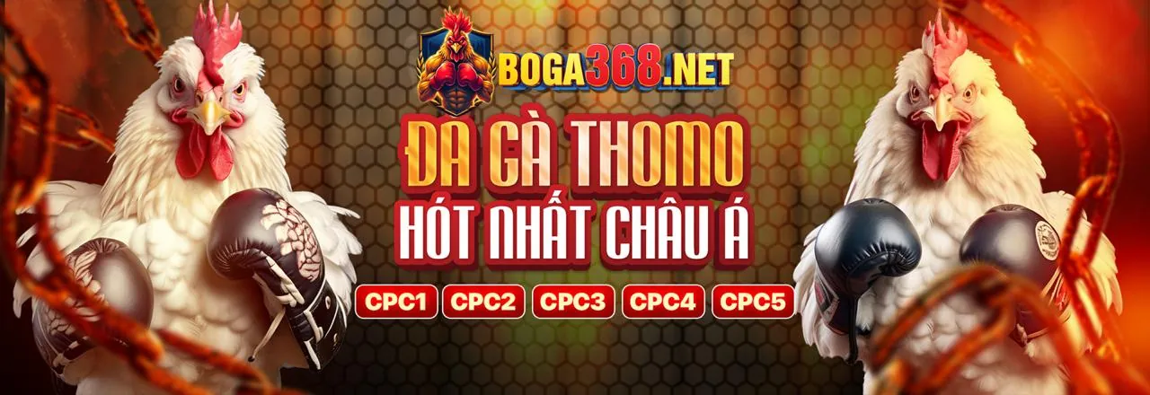 Người chơi đọc và hiểu các quy định về trách nhiệm khi tham gia cá cược tại fc888 nhà cái